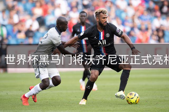 世界杯黑马门将沃齐尼亚正式亮相智利联赛