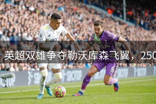 英超双雄争夺勒沃库森飞翼，2500万欧标价引关注