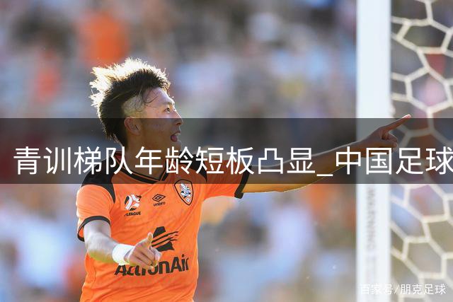 青训梯队年龄短板凸显 中国足球小将蓝队连遭大比分失利