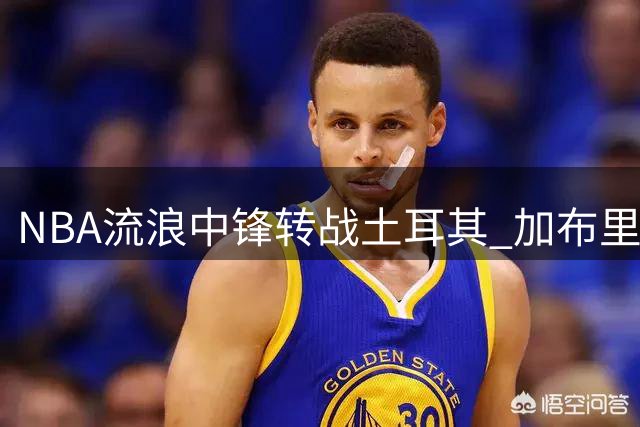 NBA流浪中锋转战土耳其 加布里埃尔加盟贝西克塔斯冲击欧战